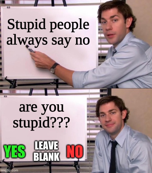 hehe | Stupid people always say no; are you stupid??? LEAVE BLANK; NO; YES | image tagged in jim halpert explains | made w/ Imgflip meme maker