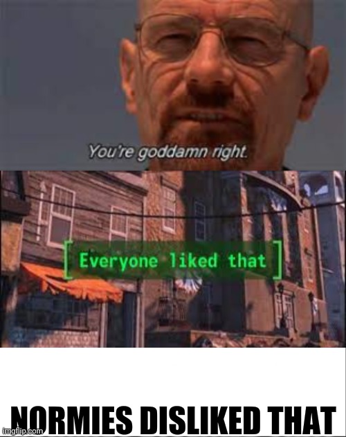NORMIES DISLIKED THAT | image tagged in you're goddamn right,everyone liked that,white bar | made w/ Imgflip meme maker