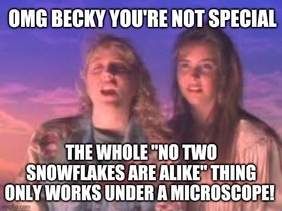 You're not special | OMG BECKY YOU'RE NOT SPECIAL; THE WHOLE "NO TWO SNOWFLAKES ARE ALIKE" THING ONLY WORKS UNDER A MICROSCOPE! | image tagged in omg becky | made w/ Imgflip meme maker