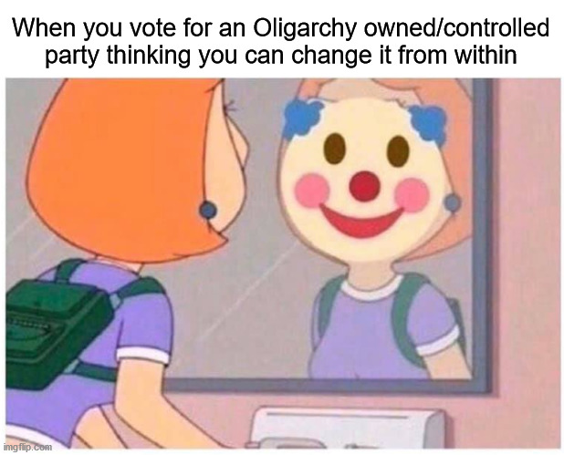 when you x | When you vote for an Oligarchy owned/controlled party thinking you can change it from within | image tagged in when you x,oligarchy,democrats,republicans | made w/ Imgflip meme maker