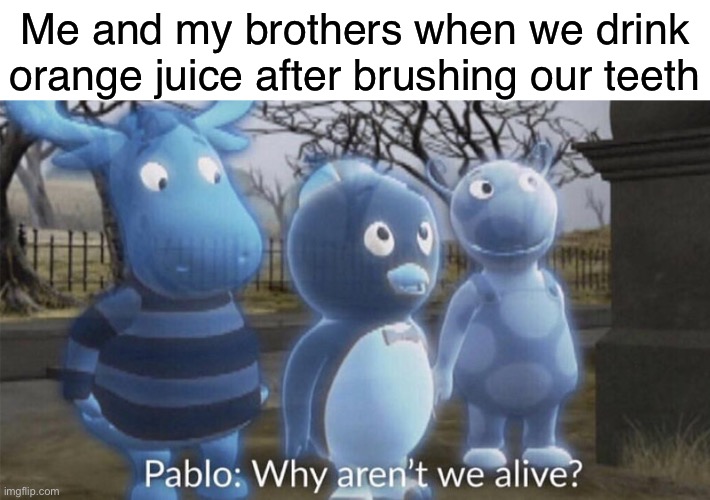 Pablo why aren't we alive? | Me and my brothers when we drink orange juice after brushing our teeth | image tagged in pablo why aren't we alive | made w/ Imgflip meme maker