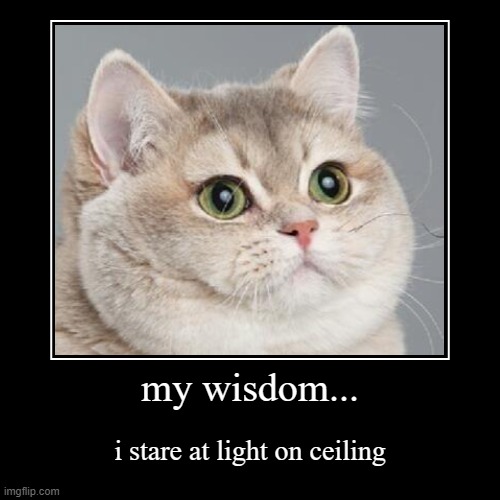 My wisdom | image tagged in funny,demotivationals,heavy breathing cat,cats,cat,funny memes | made w/ Imgflip demotivational maker