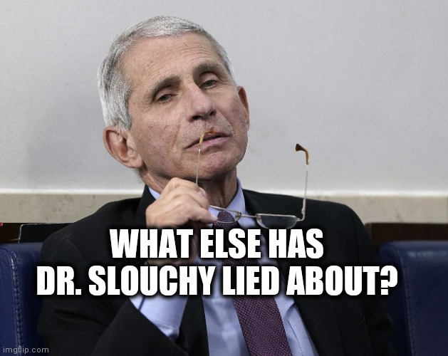 Dr. Fauci | WHAT ELSE HAS DR. SLOUCHY LIED ABOUT? | image tagged in dr fauci | made w/ Imgflip meme maker