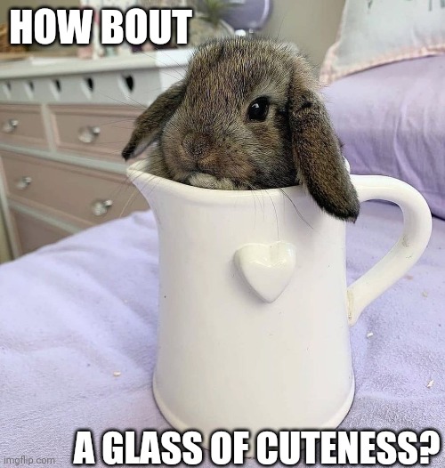 GLASS OF BUNNY | HOW BOUT; A GLASS OF CUTENESS? | image tagged in bunnies,bunny,rabbit | made w/ Imgflip meme maker