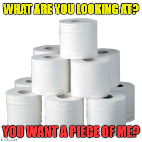 Toilet paper pyramid | WHAT ARE YOU LOOKING AT? YOU WANT A PIECE OF ME? | image tagged in toilet paper pyramid | made w/ Imgflip meme maker