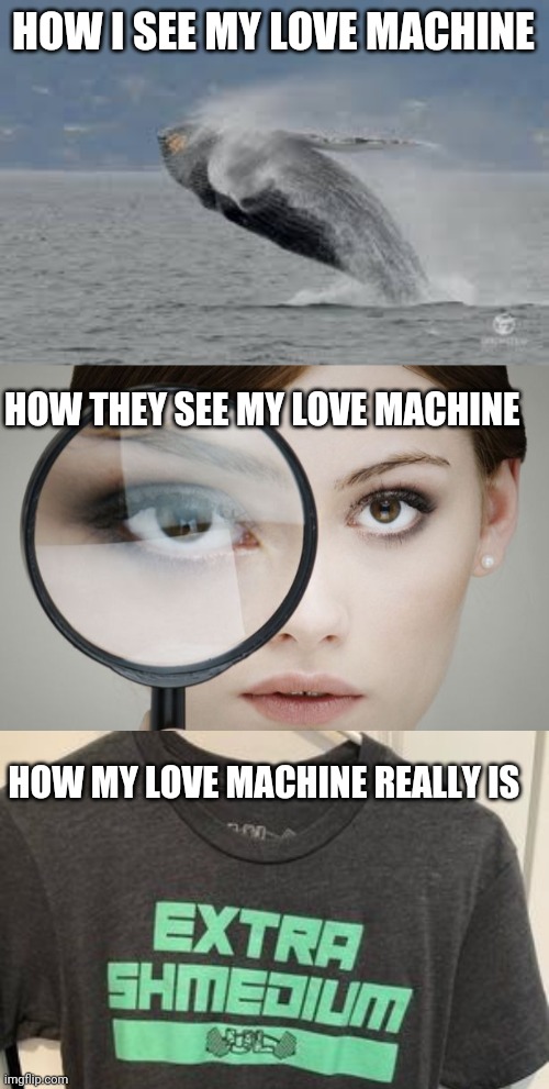 HOW I SEE MY LOVE MACHINE; HOW THEY SEE MY LOVE MACHINE; HOW MY LOVE MACHINE REALLY IS | image tagged in funny memes | made w/ Imgflip meme maker