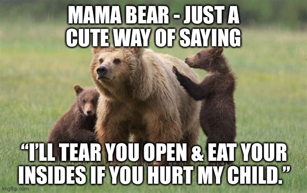 Mama bear | MAMA BEAR - JUST A
CUTE WAY OF SAYING; “I’LL TEAR YOU OPEN & EAT YOUR
INSIDES IF YOU HURT MY CHILD.” | made w/ Imgflip meme maker