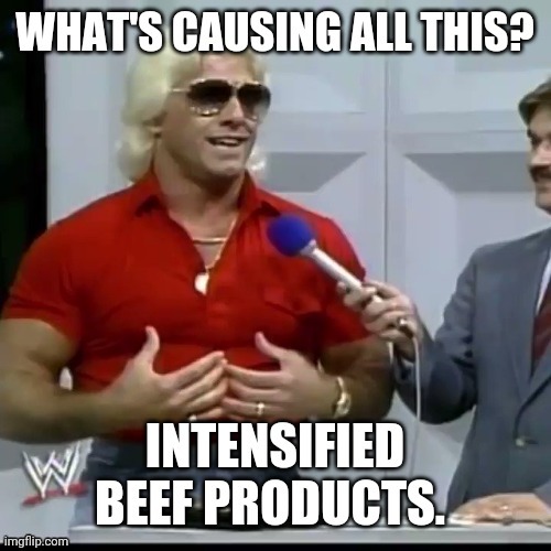 Intensified Beef Products | image tagged in ric flair,wwe | made w/ Imgflip meme maker