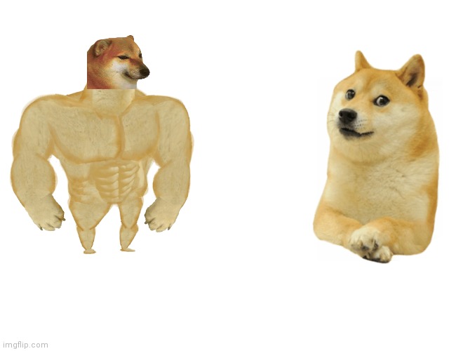 Buff cheems vs doge | image tagged in memes,buff cheems vs doge | made w/ Imgflip meme maker