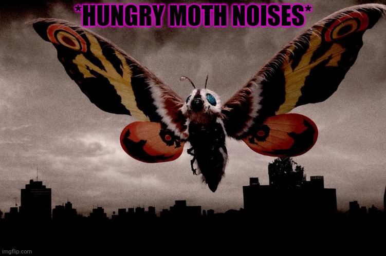 Mothra | *HUNGRY MOTH NOISES* | image tagged in mothra | made w/ Imgflip meme maker
