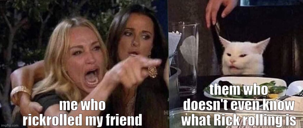 true story | me who rickrolled my friend; them who doesn't even know what Rick rolling is | image tagged in woman yelling at cat | made w/ Imgflip meme maker