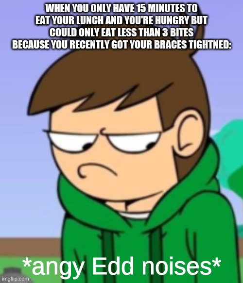 WHEN YOU ONLY HAVE 15 MINUTES TO EAT YOUR LUNCH AND YOU'RE HUNGRY BUT COULD ONLY EAT LESS THAN 3 BITES BECAUSE YOU RECENTLY GOT YOUR BRACES TIGHTNED: | image tagged in angy edd noises | made w/ Imgflip meme maker