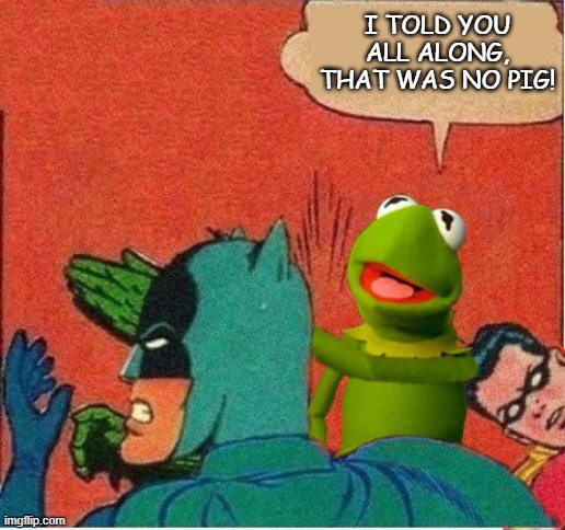 That was no pig! | I TOLD YOU ALL ALONG, THAT WAS NO PIG! | image tagged in kermit saving robin | made w/ Imgflip meme maker