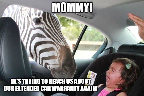 MOMMY! HE'S TRYING TO REACH US ABOUT OUR EXTENDED CAR WARRANTY AGAIN! | image tagged in meme,memes,zebra,extended car warranty | made w/ Imgflip meme maker