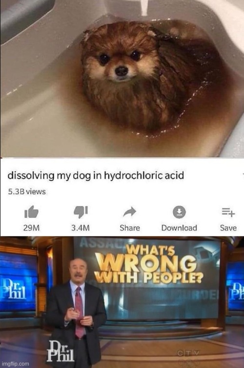 Poor doggo :( | image tagged in dr phil what's wrong with people,doggo,doge,cute dog,poor guy | made w/ Imgflip meme maker
