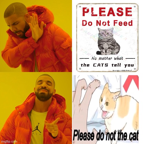 Please don’t | image tagged in memes,drake hotline bling | made w/ Imgflip meme maker
