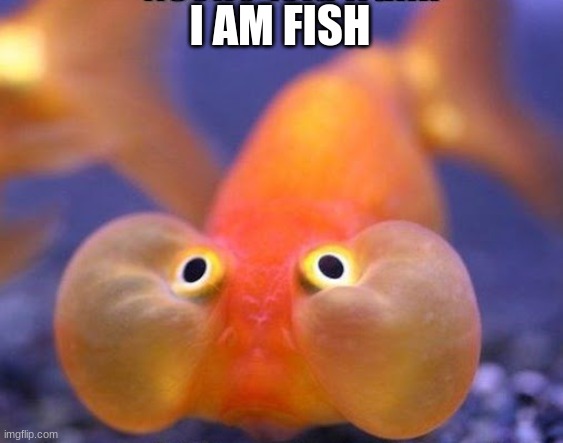 I AM FISH | made w/ Imgflip meme maker