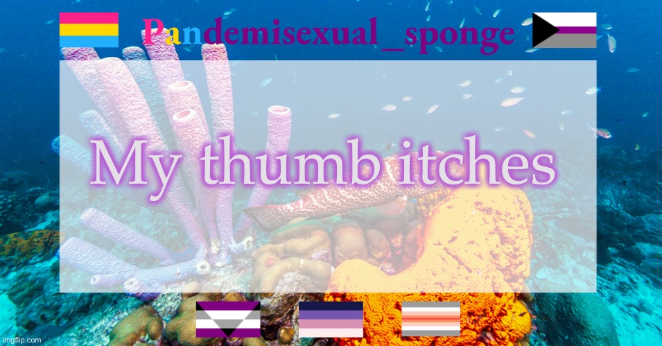 Pandemisexual_sponge temp | My thumb itches | image tagged in pandemisexual_sponge temp,demisexual_sponge | made w/ Imgflip meme maker