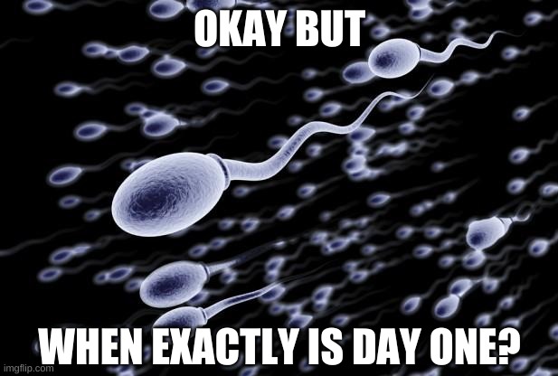 sperm swimming | OKAY BUT WHEN EXACTLY IS DAY ONE? | image tagged in sperm swimming | made w/ Imgflip meme maker