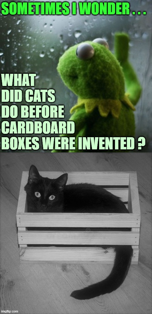 Cats will be cats | SOMETIMES I WONDER . . . WHAT
DID CATS
DO BEFORE
CARDBOARD
BOXES WERE INVENTED ? | image tagged in sometimes i wonder,cats,funny cat,boxes | made w/ Imgflip meme maker