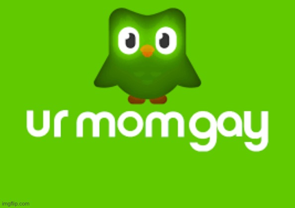 Duo Has Spoken | image tagged in duo has spoken | made w/ Imgflip meme maker