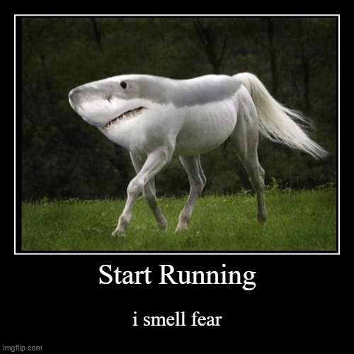 thats cool gerald | Start Running | i smell fear | image tagged in funny,demotivationals | made w/ Imgflip demotivational maker