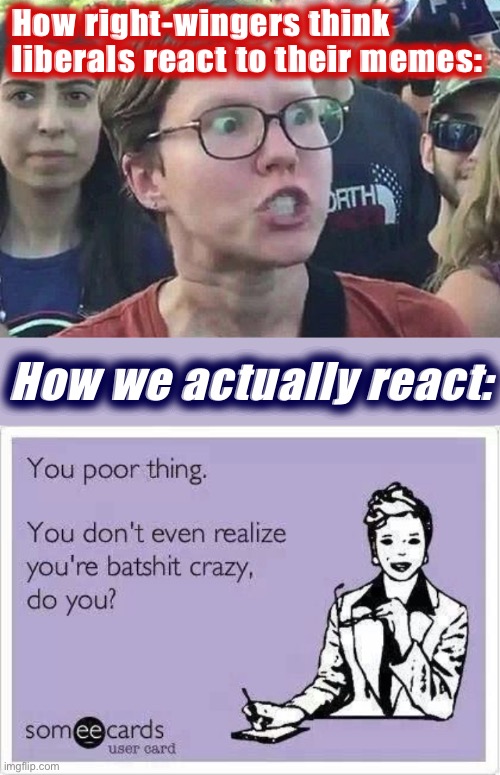 I am filled with profound sadness at the thought of how much of the modern world has passed them by. | How right-wingers think liberals react to their memes:; How we actually react: | image tagged in triggered liberal,you poor thing batshit crazy,memes about memeing,conservative logic,conservatives,politics | made w/ Imgflip meme maker