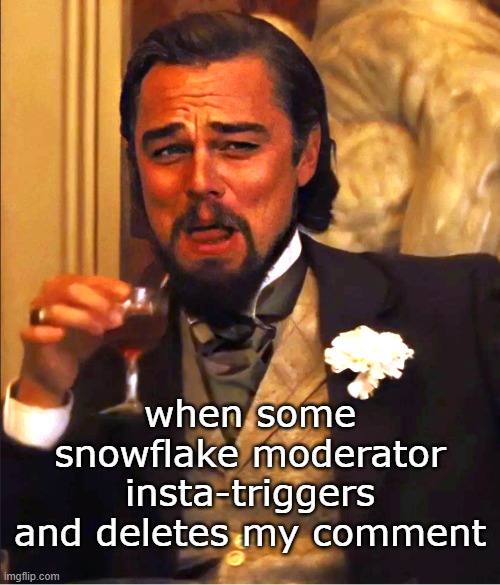 Leftists are soooo delicate. | when some snowflake moderator insta-triggers and deletes my comment | image tagged in leo laugh | made w/ Imgflip meme maker