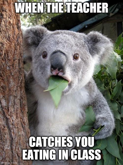 This is probably already a meme |  WHEN THE TEACHER; CATCHES YOU EATING IN CLASS | image tagged in memes,surprised koala,eating,teacher,class,oof | made w/ Imgflip meme maker