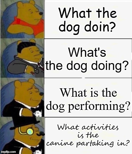 Tuxedo Winnie the Pooh 4 panel | What the dog doin? What's the dog doing? What is the dog performing? What activities is the canine partaking in? | image tagged in tuxedo winnie the pooh 4 panel | made w/ Imgflip meme maker