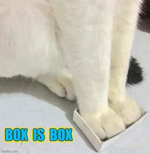 Who said cats are picky? | BOX; BOX  IS; BOX  IS  BOX | image tagged in cats,choose,small,boxes,funny cat | made w/ Imgflip meme maker