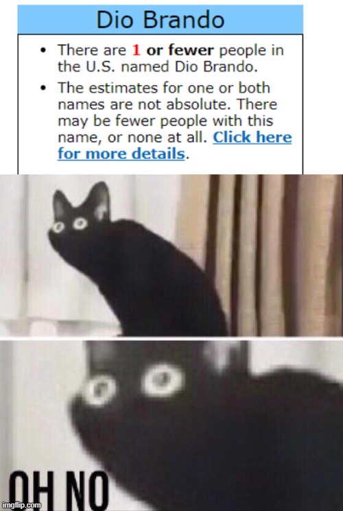 image tagged in oh no cat | made w/ Imgflip meme maker