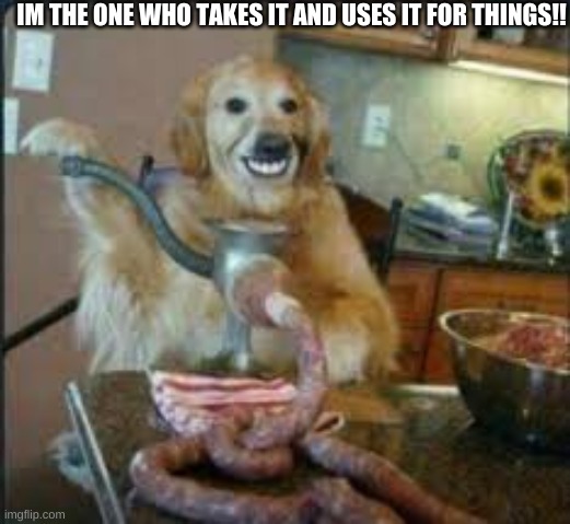 MEAT DOG | IM THE ONE WHO TAKES IT AND USES IT FOR THINGS!! | image tagged in meat dog | made w/ Imgflip meme maker