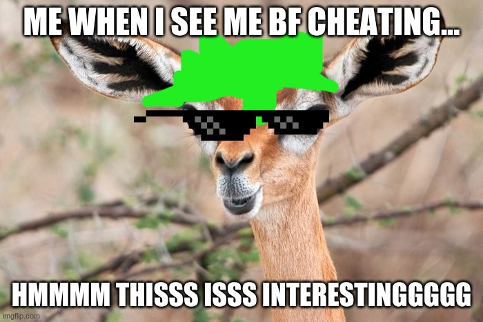 yeth | ME WHEN I SEE ME BF CHEATING... HMMMM THISSS ISSS INTERESTINGGGGG | image tagged in bf,cheating,reeeeeeeeeeeeeeeeeeeeee | made w/ Imgflip meme maker