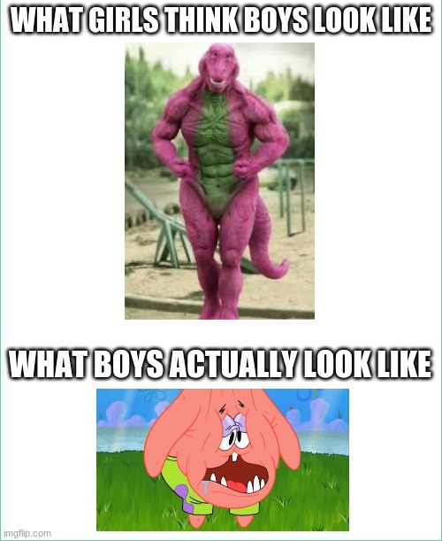THIS ISN'T TO BE OFFENSIVE GUYS | WHAT GIRLS THINK BOYS LOOK LIKE; WHAT BOYS ACTUALLY LOOK LIKE | image tagged in funny memes,memes | made w/ Imgflip meme maker