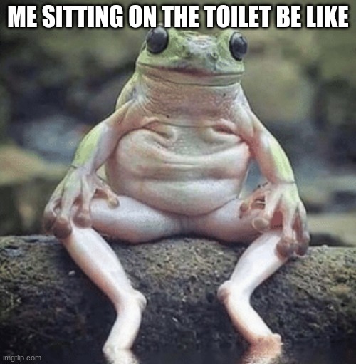 ME SITTING ON THE TOILET BE LIKE | made w/ Imgflip meme maker