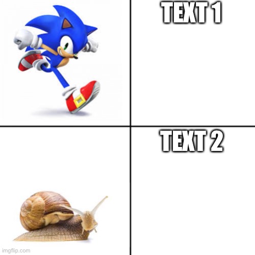 Sonic vs snail template | TEXT 1; TEXT 2 | image tagged in sonic vs snail | made w/ Imgflip meme maker