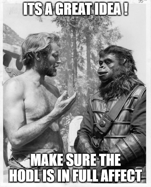 the plan!! | ITS A GREAT IDEA ! MAKE SURE THE HODL IS IN FULL AFFECT | image tagged in planet of the apes,charlton heston planet of the apes,apes,planet,apes together strong,flex tape | made w/ Imgflip meme maker