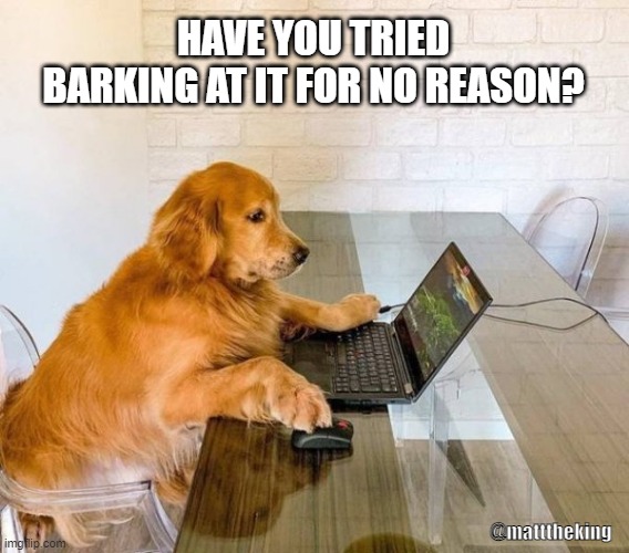 Tech Help | HAVE YOU TRIED BARKING AT IT FOR NO REASON? @matttheking | image tagged in dogs,tech,it | made w/ Imgflip meme maker