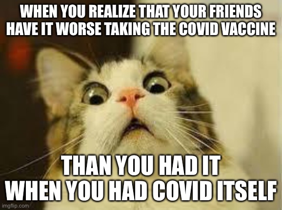 this is true, i’ve seen ppl have far worse reactions to the vaccine than I did when I flat out had Covid. | WHEN YOU REALIZE THAT YOUR FRIENDS HAVE IT WORSE TAKING THE COVID VACCINE; THAN YOU HAD IT WHEN YOU HAD COVID ITSELF | image tagged in shocked cat,politics,coronavirus,vaccines | made w/ Imgflip meme maker