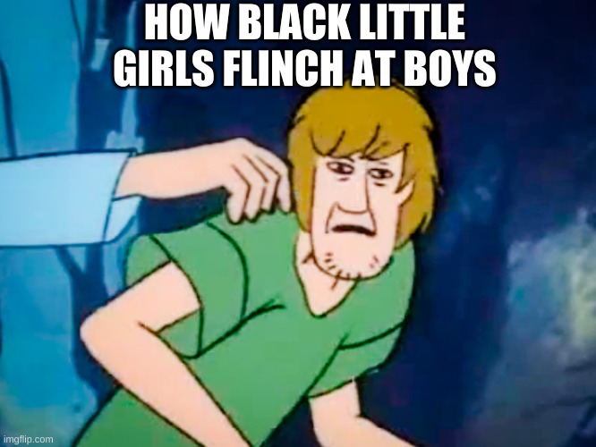 How black girls flinch at boys thinkin' they cool | HOW BLACK LITTLE GIRLS FLINCH AT BOYS | image tagged in shaggy meme,bad joke,roflmao | made w/ Imgflip meme maker