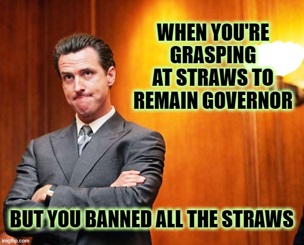 Bye, Felicia. | WHEN YOU'RE GRASPING AT STRAWS TO REMAIN GOVERNOR; BUT YOU BANNED ALL THE STRAWS | image tagged in newsome,gruesome newsome,hotel california | made w/ Imgflip meme maker