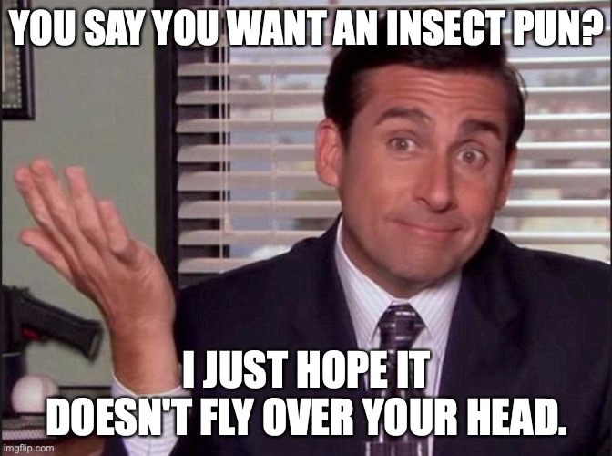 Bug pun | YOU SAY YOU WANT AN INSECT PUN? I JUST HOPE IT DOESN'T FLY OVER YOUR HEAD. | image tagged in michael scott | made w/ Imgflip meme maker