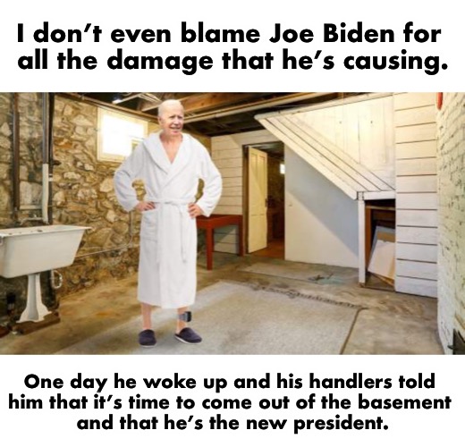 Elder abuse + cheating = The Current Situation | I don’t even blame Joe Biden for 
all the damage that he’s causing. One day he woke up and his handlers told 
him that it’s time to come out of the basement 
and that he’s the new president. | image tagged in joe basement | made w/ Imgflip meme maker