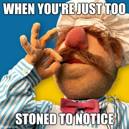 It's that time of day again | WHEN YOU'RE JUST TOO; STONED TO NOTICE | image tagged in swedish chef | made w/ Imgflip meme maker