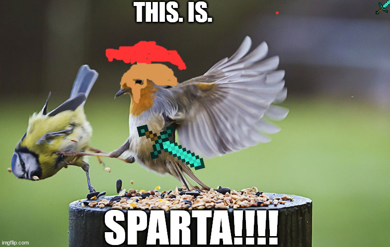 Meme - This is SPARTA! 