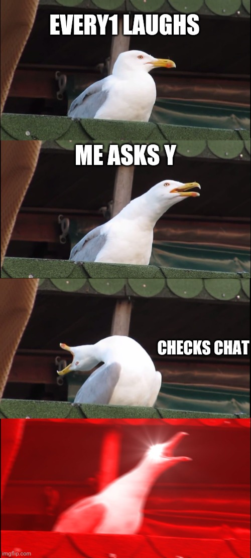 chat insult or joke | EVERY1 LAUGHS; ME ASKS Y; CHECKS CHAT | image tagged in memes,inhaling seagull | made w/ Imgflip meme maker