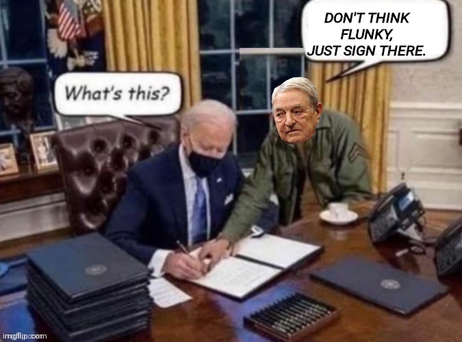 Soros and his flunky braindead Joe | DON'T THINK FLUNKY, JUST SIGN THERE. | image tagged in george soros | made w/ Imgflip meme maker