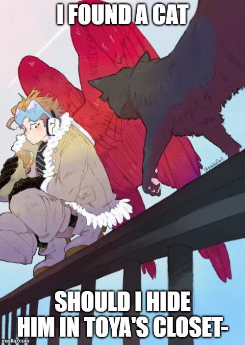 I found a cat | I FOUND A CAT; SHOULD I HIDE HIM IN TOYA'S CLOSET- | image tagged in mha,anime | made w/ Imgflip meme maker