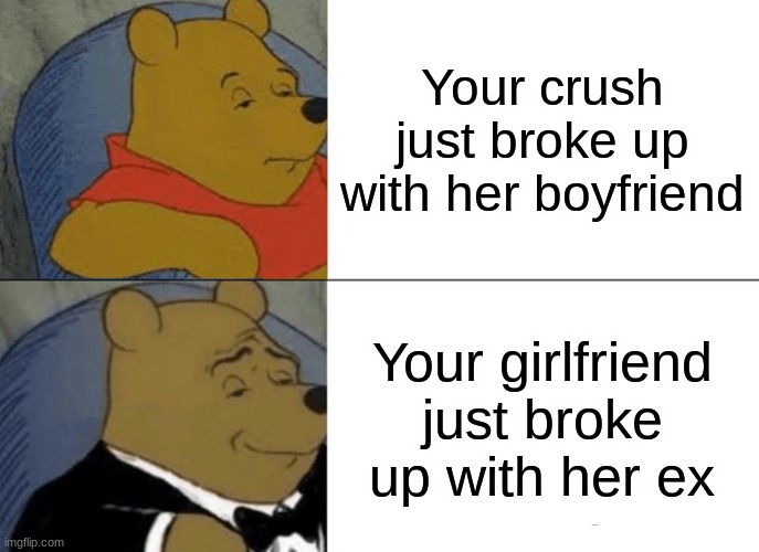 HGGHjdifonhjbdsip | Your crush just broke up with her boyfriend; Your girlfriend just broke up with her ex | image tagged in memes,tuxedo winnie the pooh | made w/ Imgflip meme maker